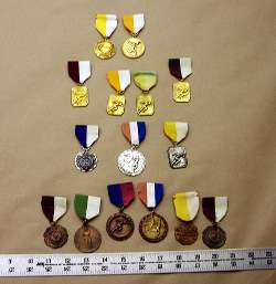 Medals would also be nice in a military retirement shadow box.